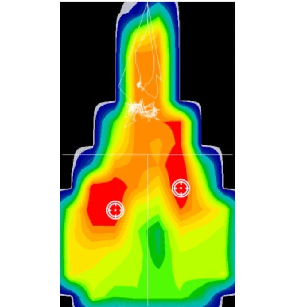 Wiva Saddle Pressure Mapping