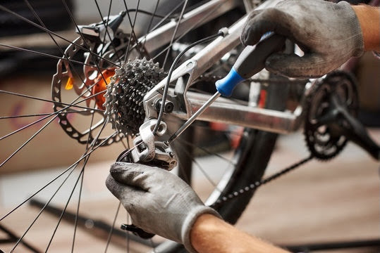 Standard Tune-up / Inspection